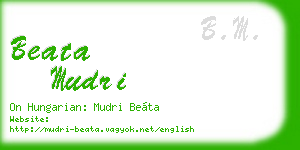 beata mudri business card